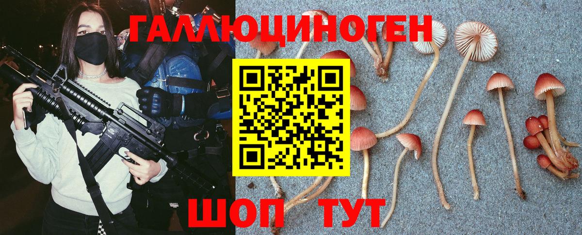 Оренбург  Галлюциногенные грибы прущие грибы  Вход с VPN 