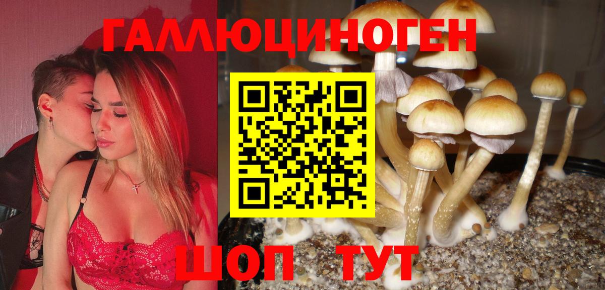 Галлюциногенные грибы MAGIC MUSHROOMS Оренбург