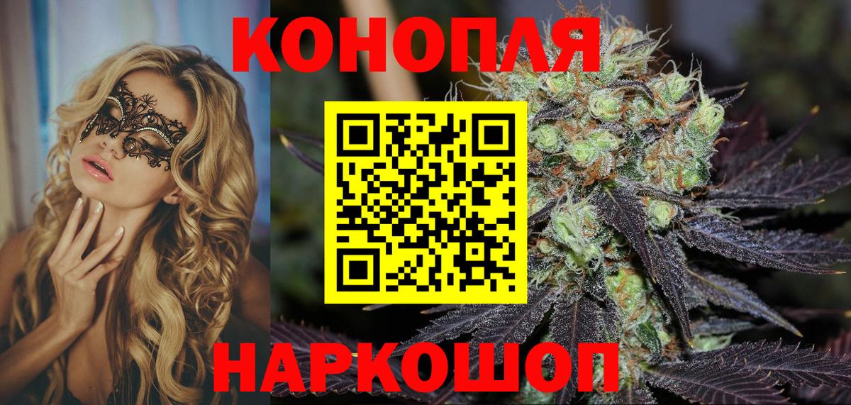 Бошки Шишки план Оренбург